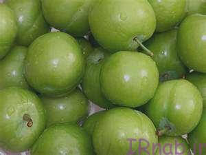 50 bisms.ir 2016 08 29 300x225 رابطه ی گوجه سبز و بارداری