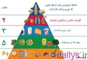 tasvir heramgazaee irnab ir تصویر هرم غذایی