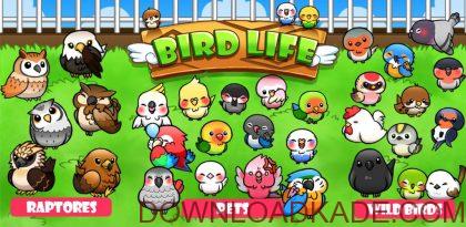 bird life irnab ir دانلود Bird Life 1.5.6 بازی پازلی زندگی پرندگان  اندروید
