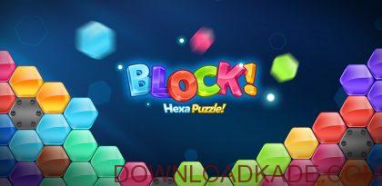 block hexa puzzle irnab ir دانلود Block Hexa Puzzle 1.4.19  بازی پازل هگزا اندروید
