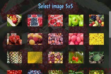 tile puzzles · fruits irnab ir دانلود Tile Puzzles · Fruits 1.25.fr بازی پازل میوه ها اندروید