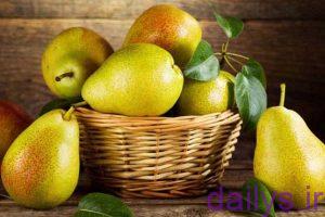 5c36fda331ad5 tabirkhab gholabi irnab ir تعبیر خواب گلابی