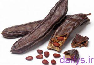 ghiyah kharnobchist irnab ir گیاه خرنوب چیست؟